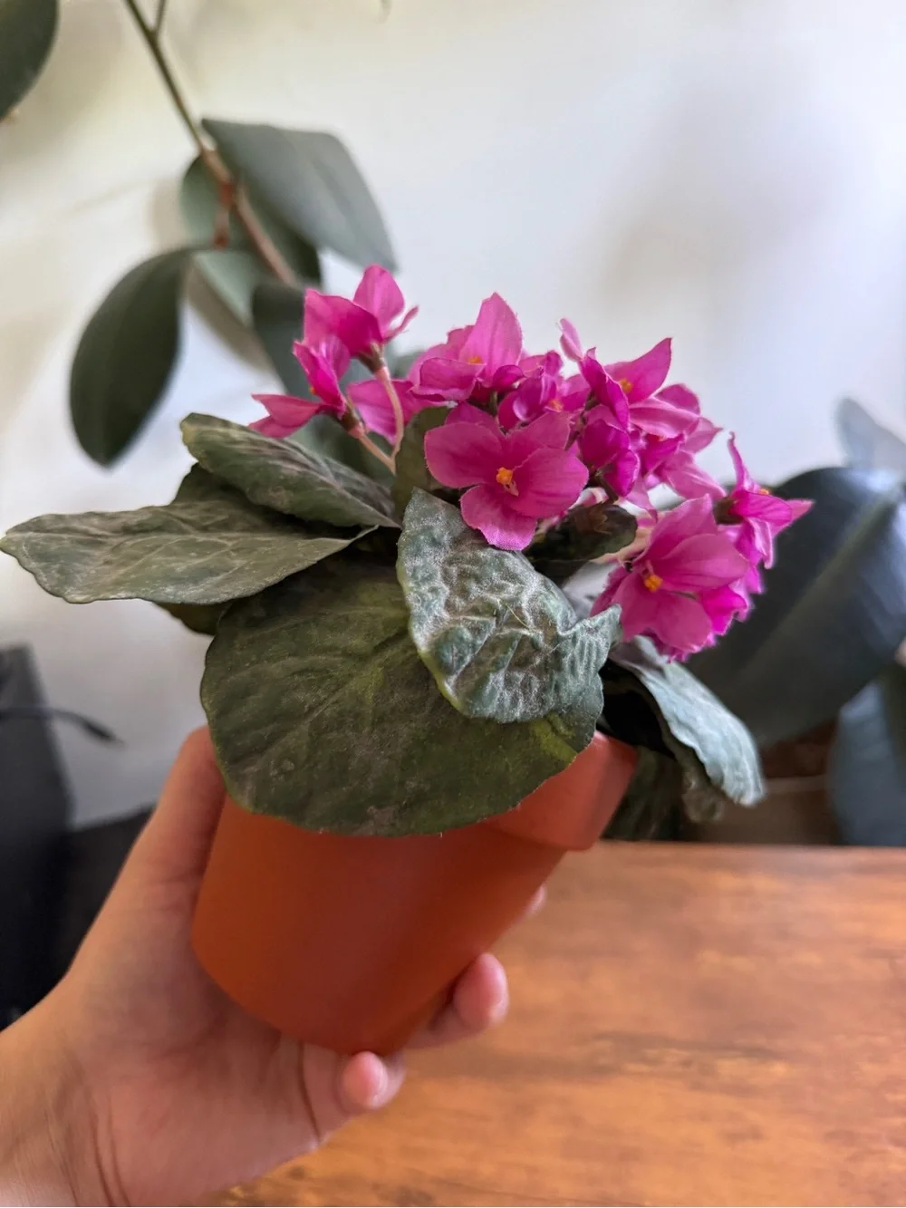 N/A beautiful pink